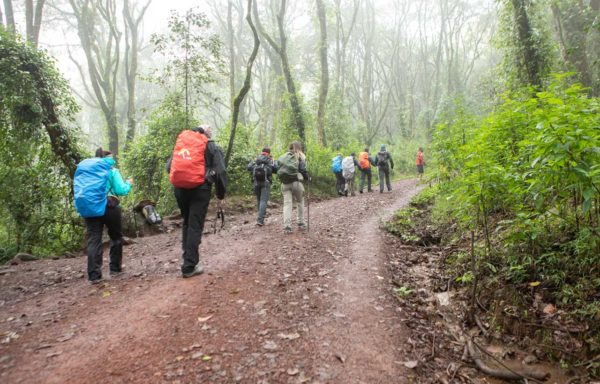 Kilimanjaro National Park karina oliani maximo kausch spot blog