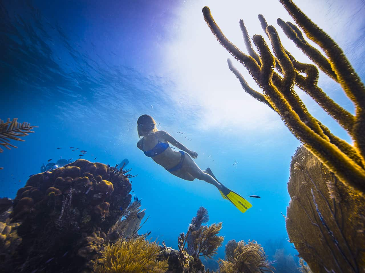 Belize: Um paraíso escondido no Caribe.